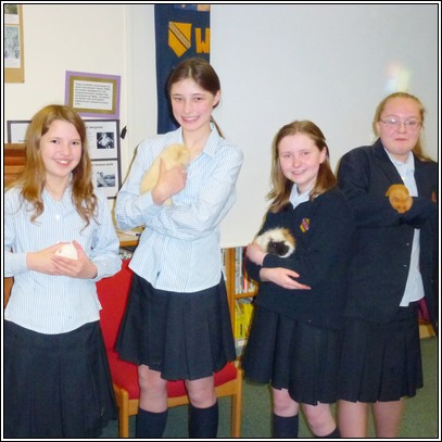 Pets Club Assembly